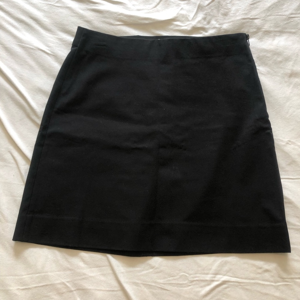 Everlane Skirt